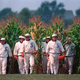 Who cares if ghosts come out of the corn if you can’t watch them anyway?